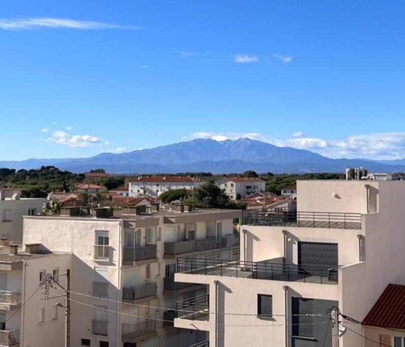 Studio Cote Plage Tout Equipe Vue Sur Le Canigou Кане Экстерьер фото